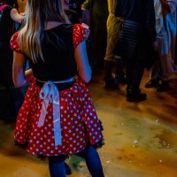 Archives &raquo; 2019 &raquo; Carnaval